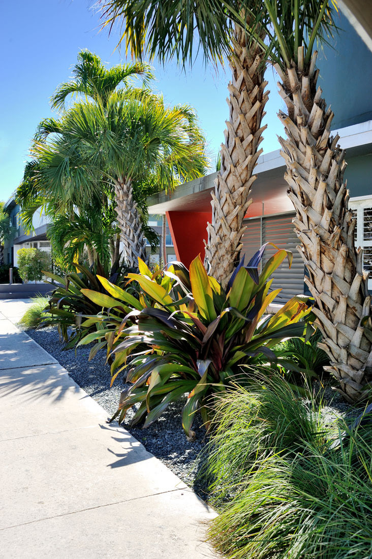 Gallery - Blue Marlin Motel